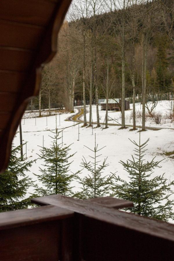 Golden Apartments&B12A-14 Zakopane Exterior foto